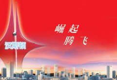品牌建設是凈水業(yè)發(fā)展方向：漢斯頓掃清絆腳石
